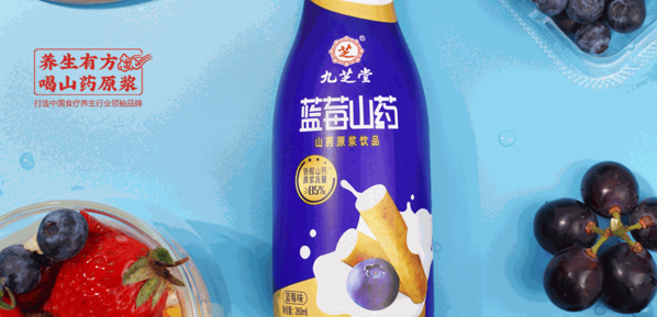 九芝堂养生保健